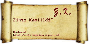 Zintz Kamilló névjegykártya